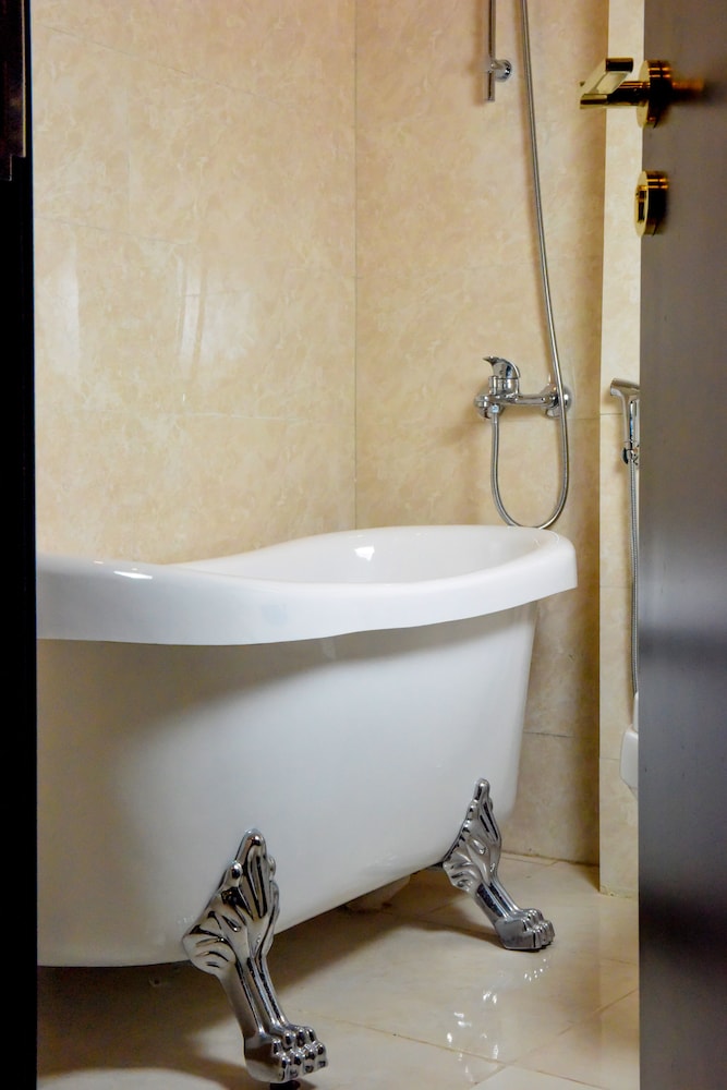 فندق اللوتس(Lotus Hotel) 47/47