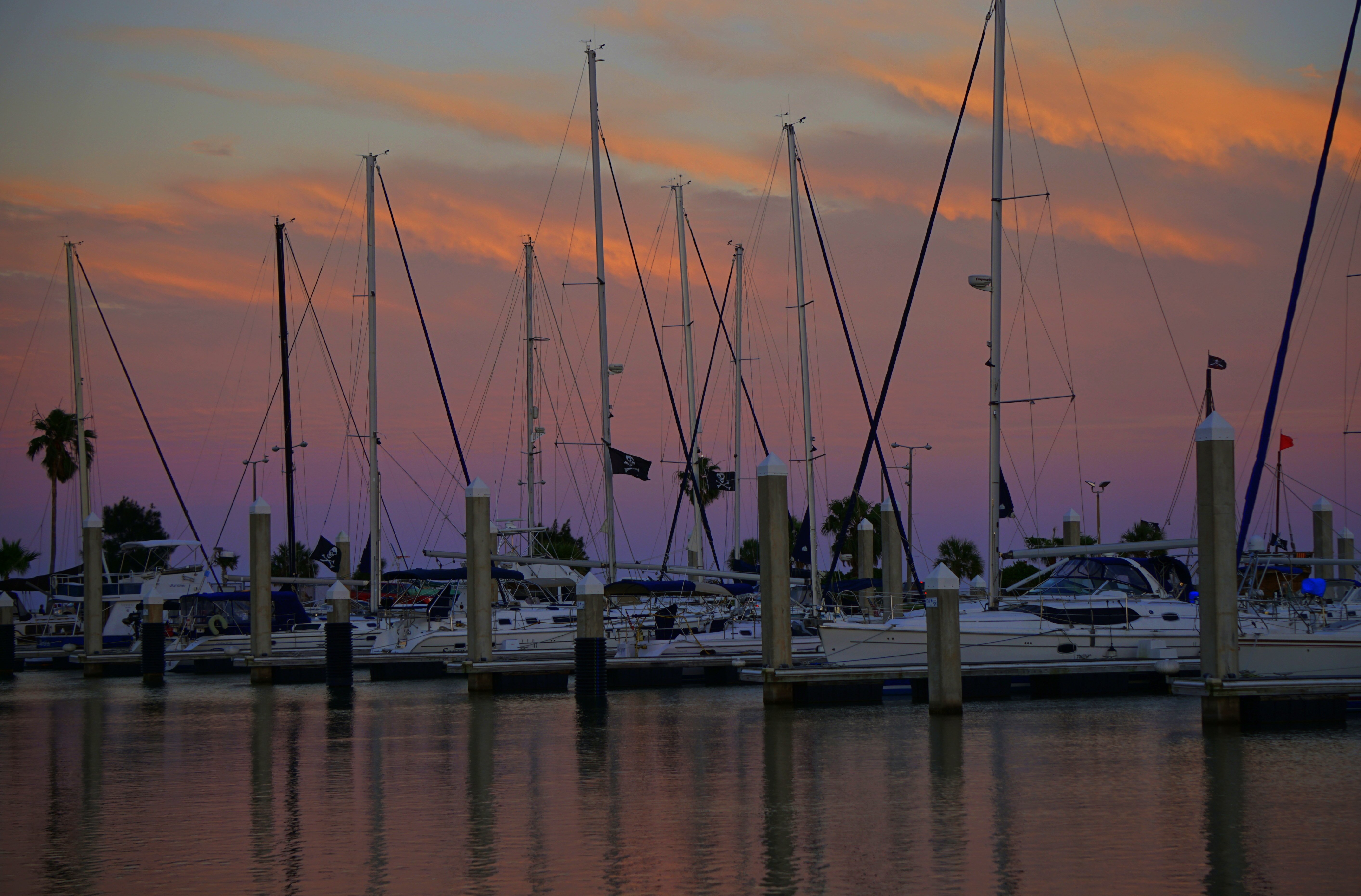 Holiday Inn Corpus Christi Downtown Marina 54/57