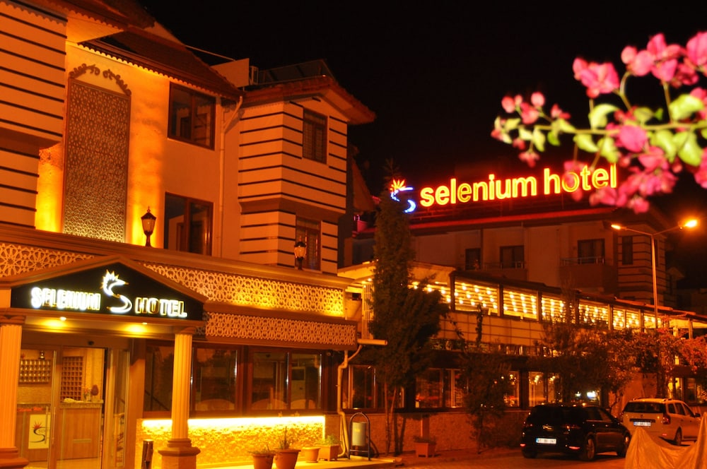 Selenium Hotel 4/17