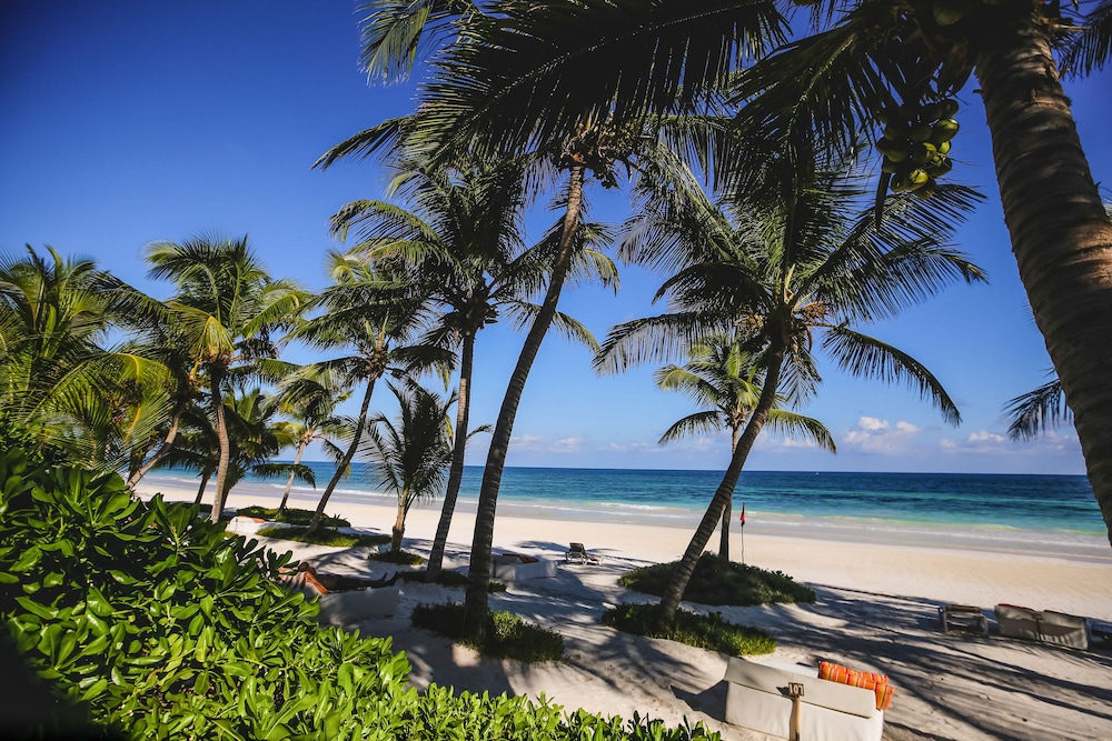 The Beach Tulum 41/47
