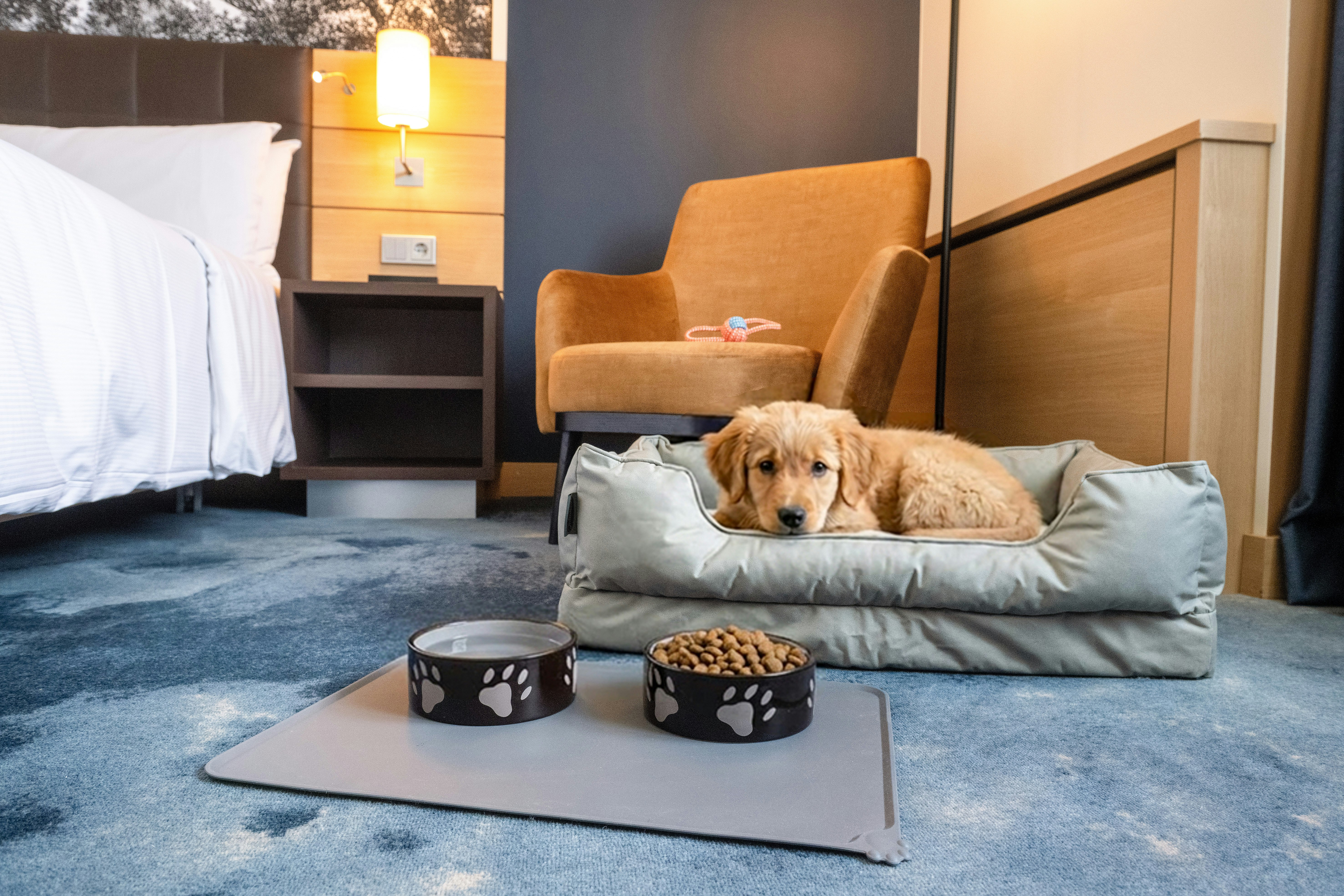 Hilton Mainz Hotel 15/53