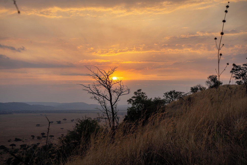 Neptune Serengeti Luxury Tented Camp 46/50
