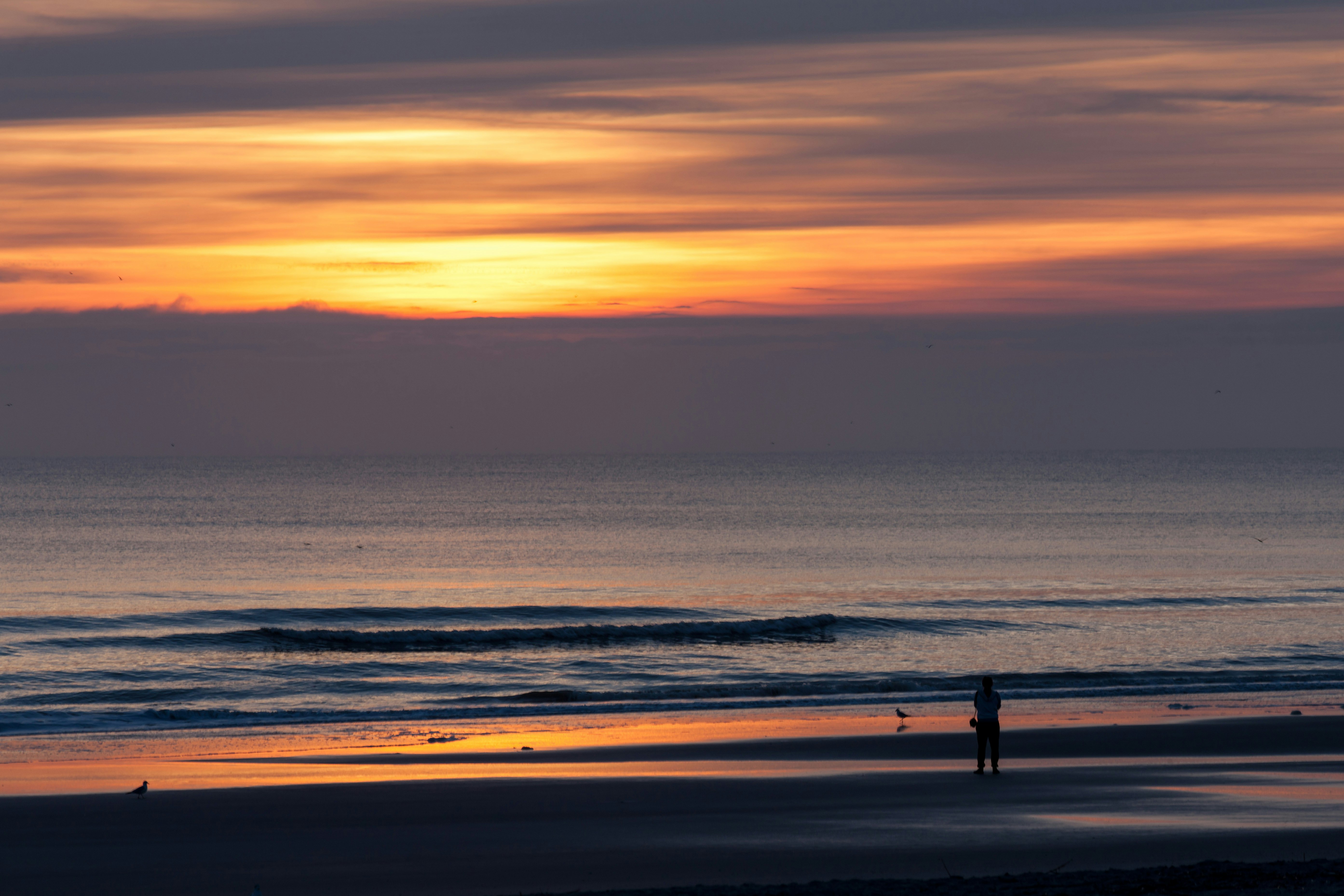 Hampton Inn Jacksonville Beach 51/57
