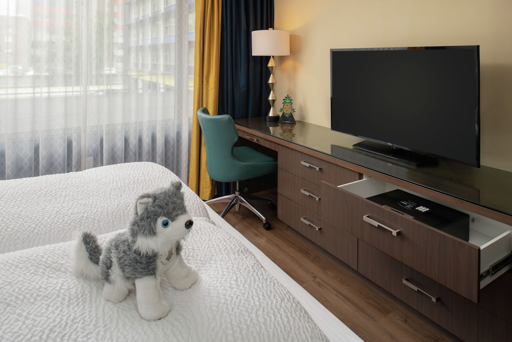 Hotel Rose - A Staypineapple Hotel 45/48