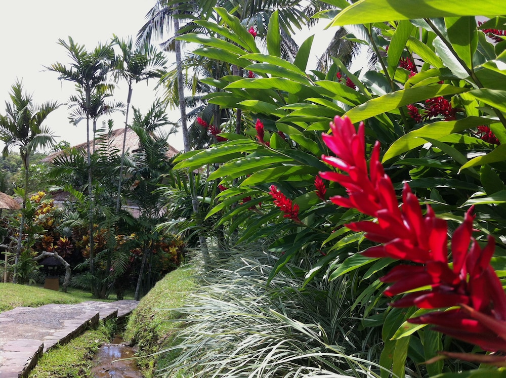 Villa Semana Resort Ubud 44/49