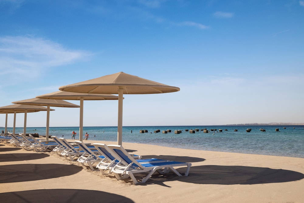 SRNTY Sahl Hasheesh 59/68