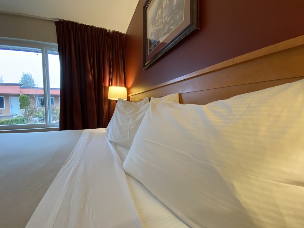 Sahara Courtyard Inn 21/70