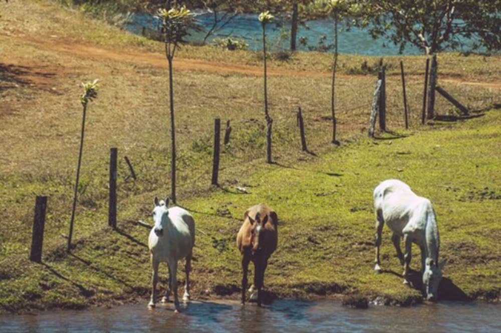 Termales del Bosque and Hot Springs 36/50