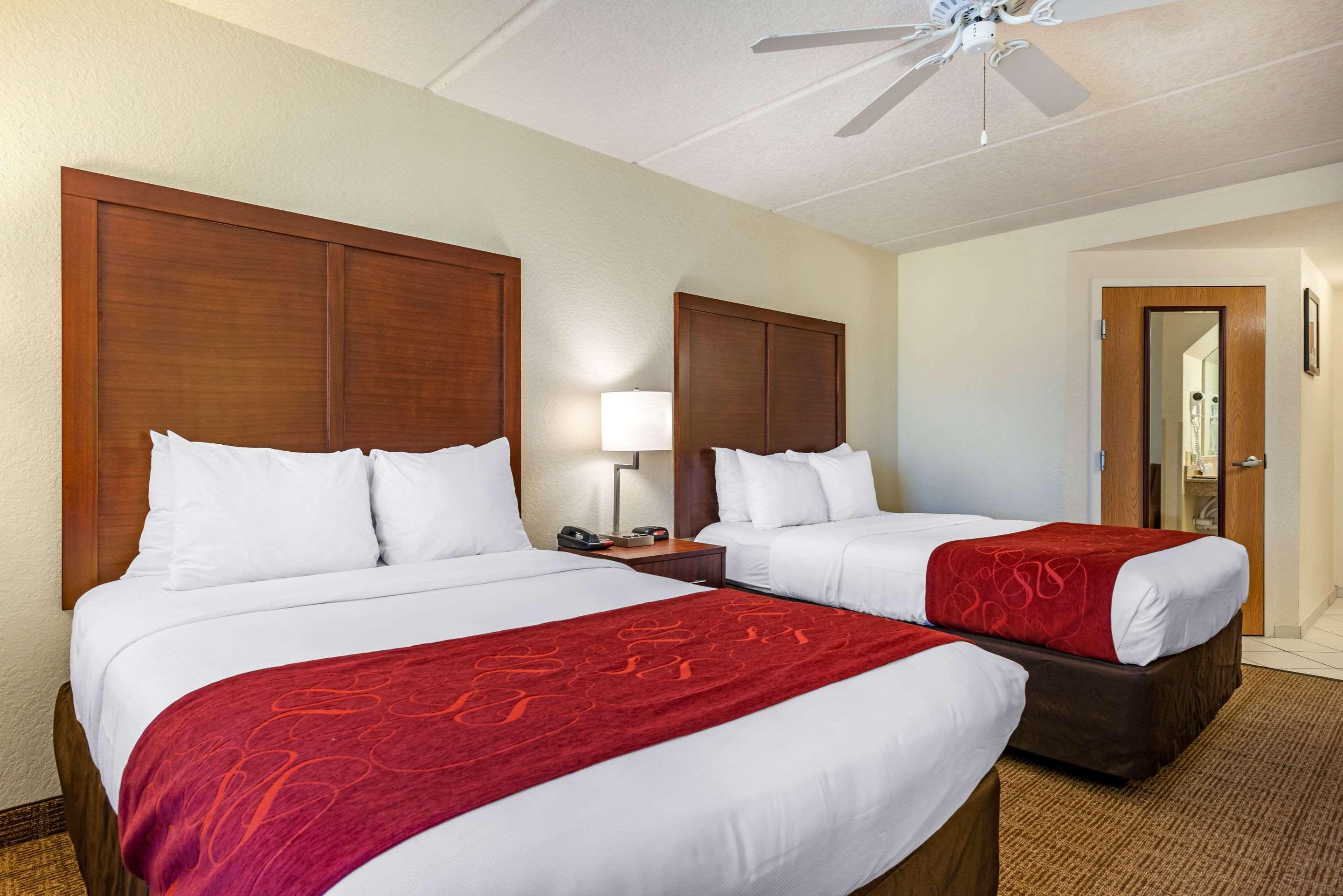 ROOM, 2 DOUBLE BEDS, ACCESSIBLE