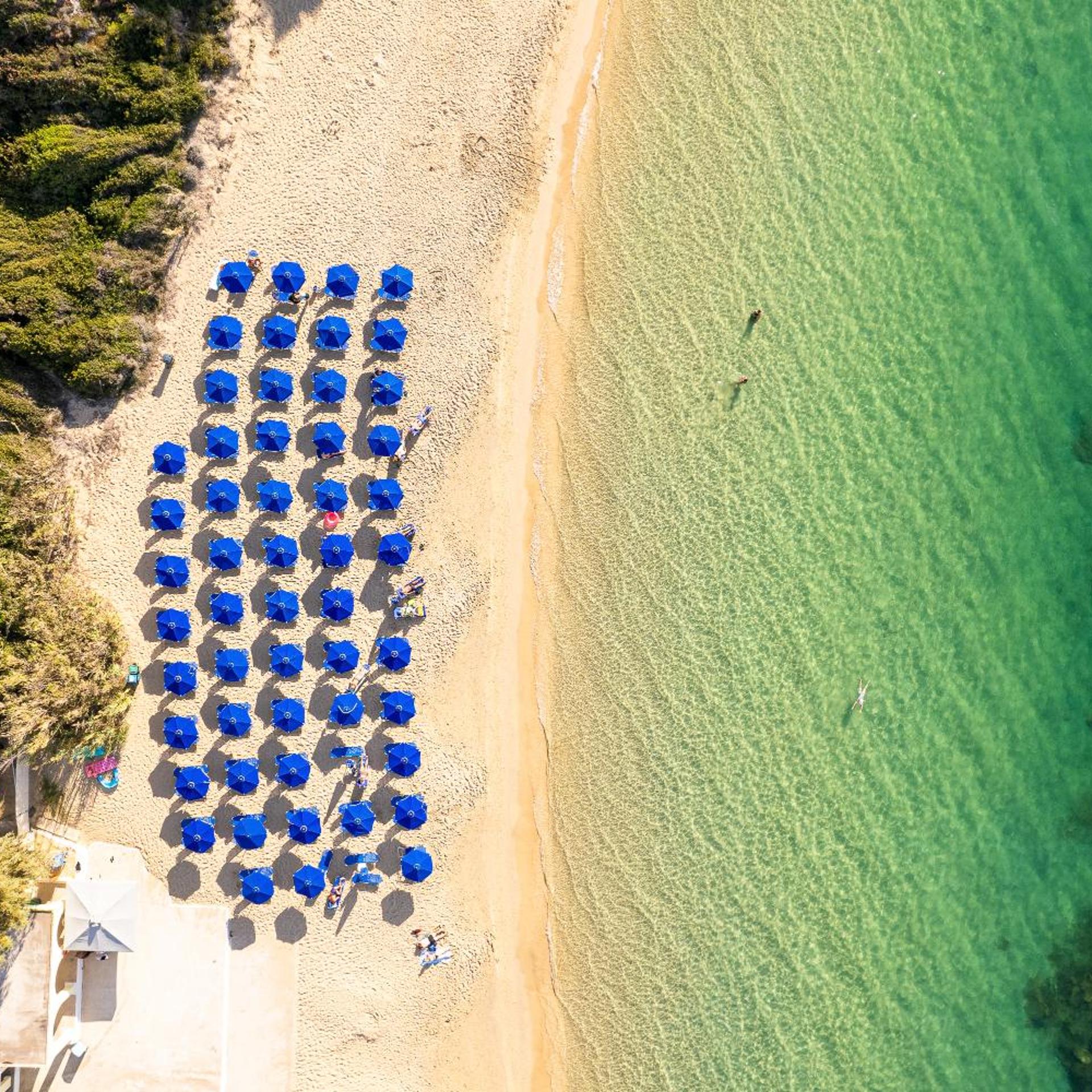 Mediterranee 45/50