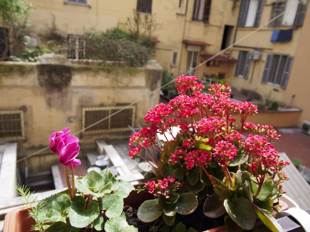 Palladini Hostel Rome 46/50