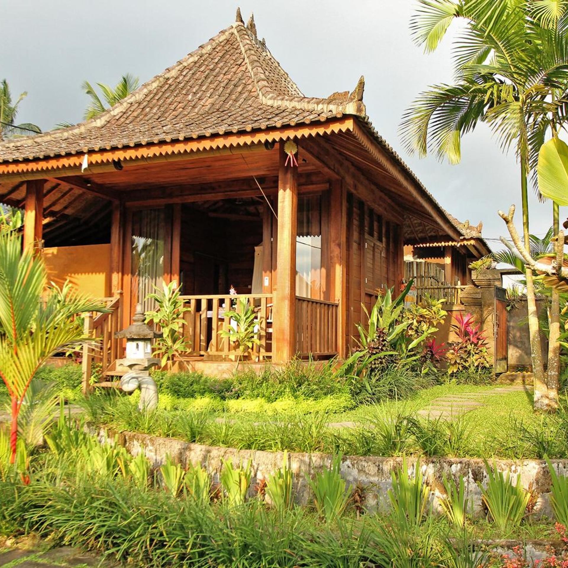 Belvilla Moksha Ceking Rice TerraceNearUbud Jungle Swing in Tegallalang