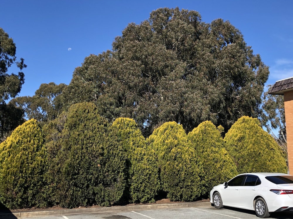 Canberra Lyneham Motor Inn 42/48