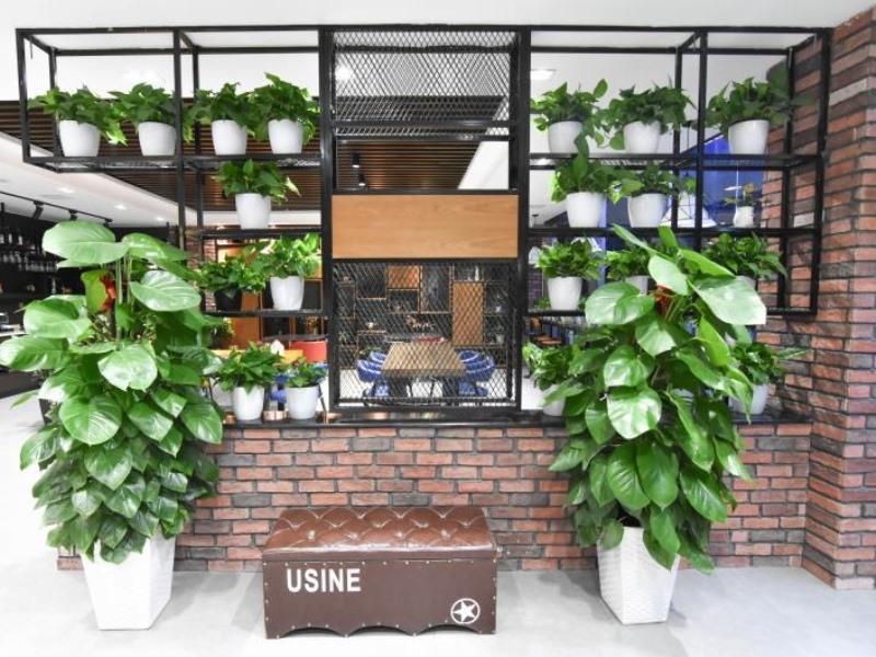 GreenTree Rizhao Lanshan Coach Station Hotel 2/21