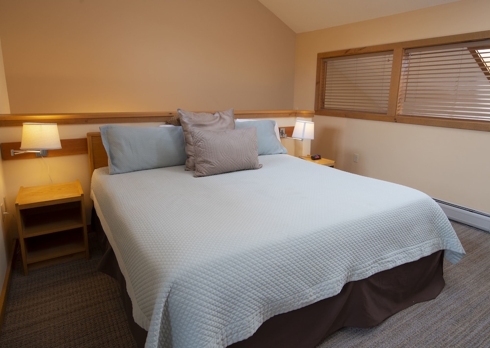 Okemo Mountain Lodging 10/42