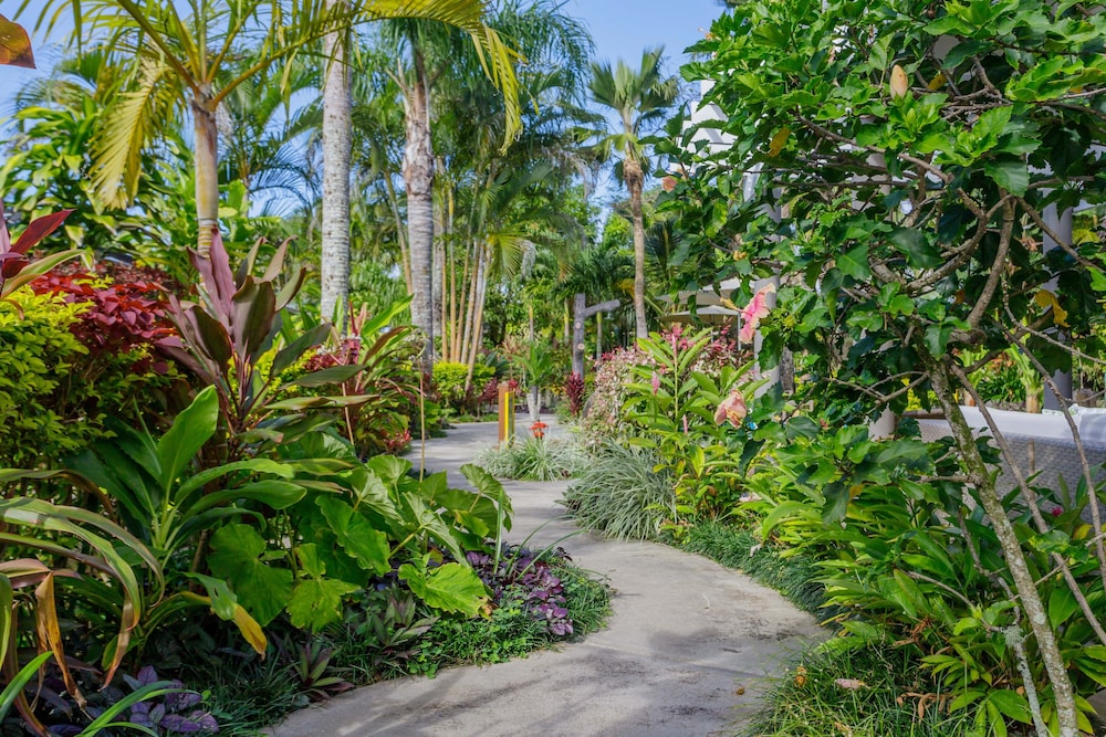 Rarotonga Daydreamer Resort 39/50