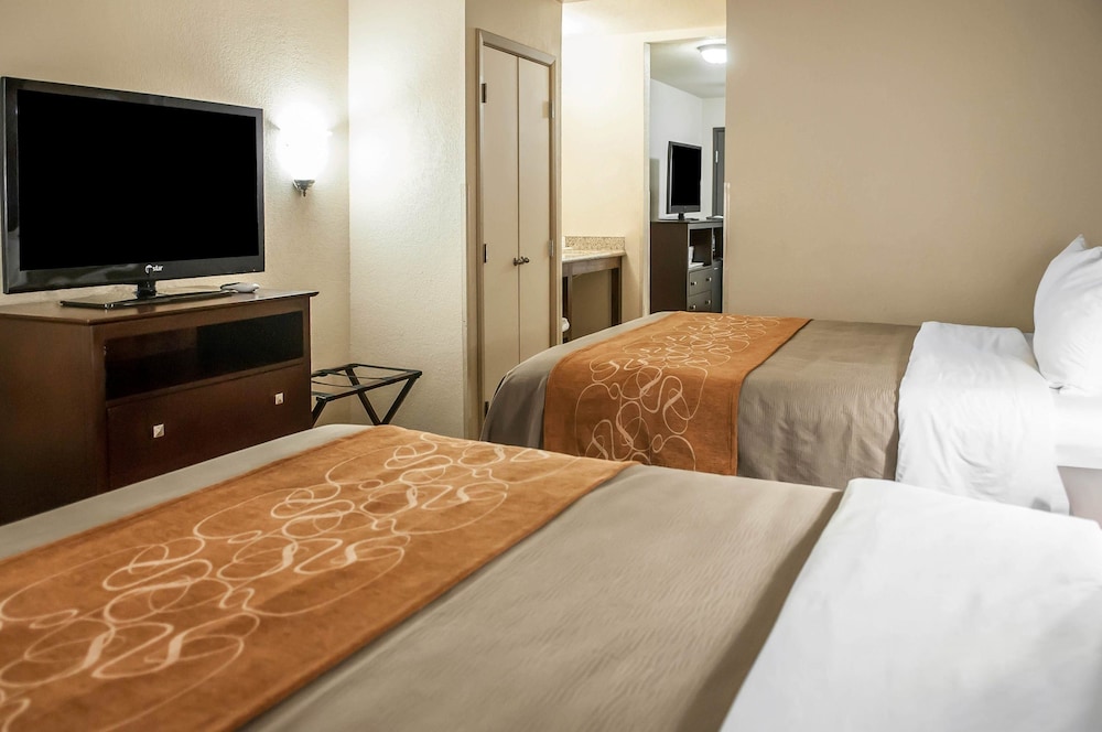 SUITE, KING BED