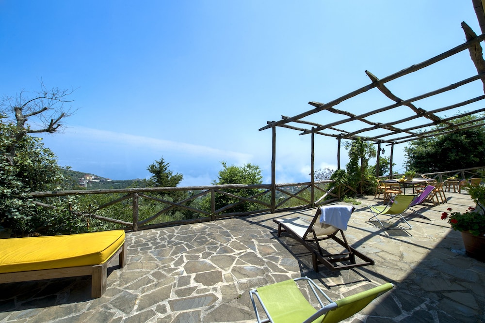 Agriturismo Fattoria Terranova 40/73