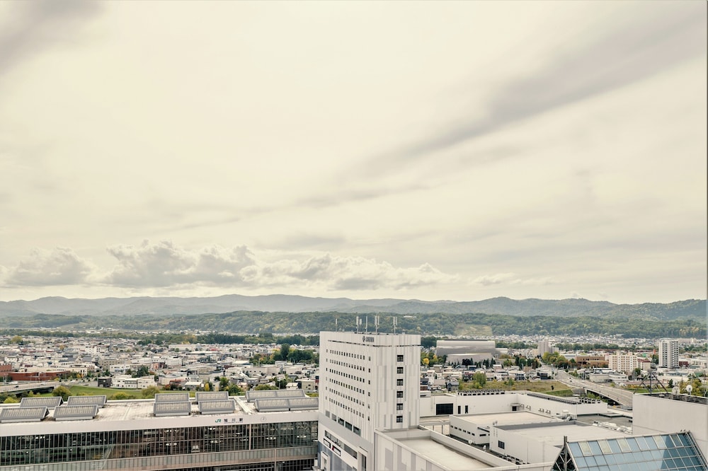 Hotel Amanek Asahikawa 44/50