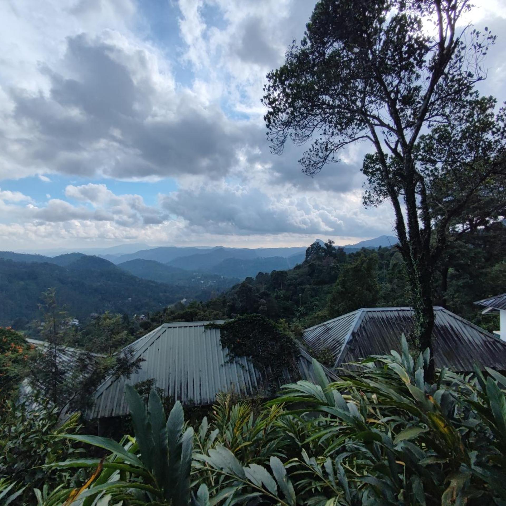 Munnar Tea Country Resort 39/47