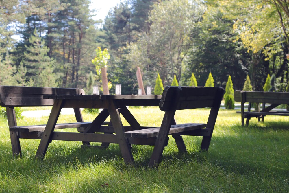 Bolu Koru Hotels Spa Convention 44/65