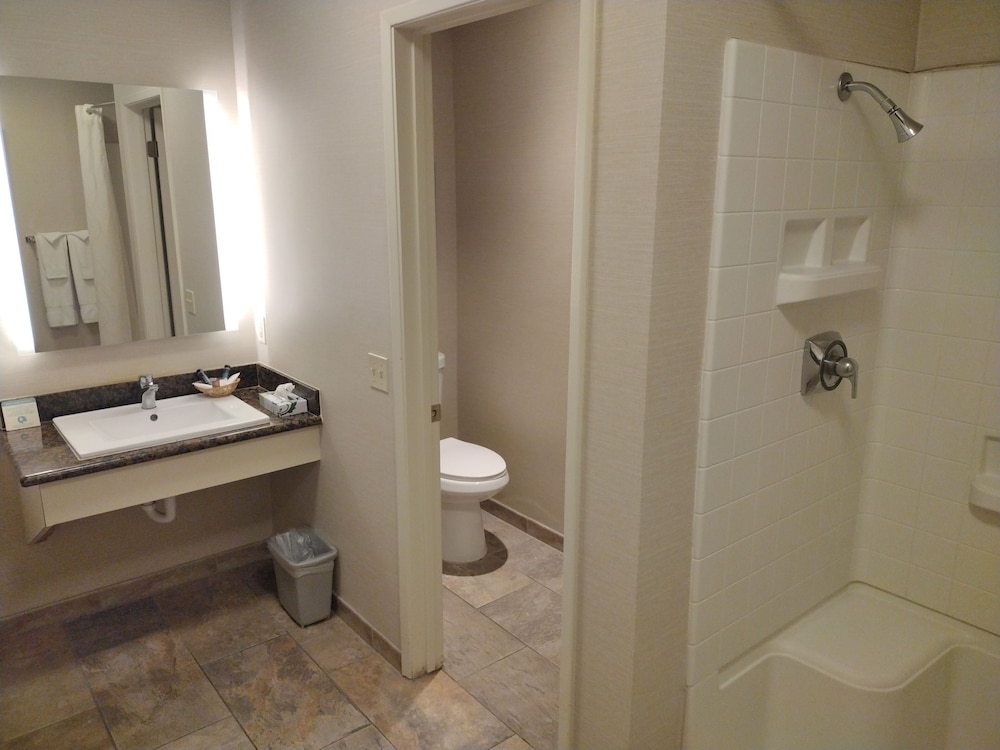 Yosemite Cedar Lodge 12/59