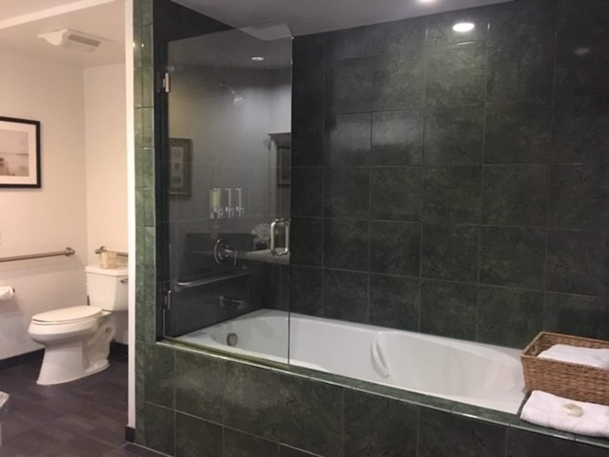 Harbor, King Bed, Partial View, No Balcony, Accessible