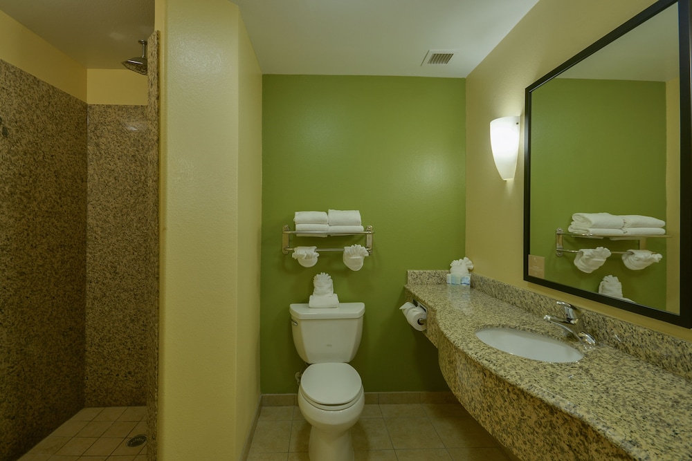 Sleep Inn Suites Pearland Houston South 13/35