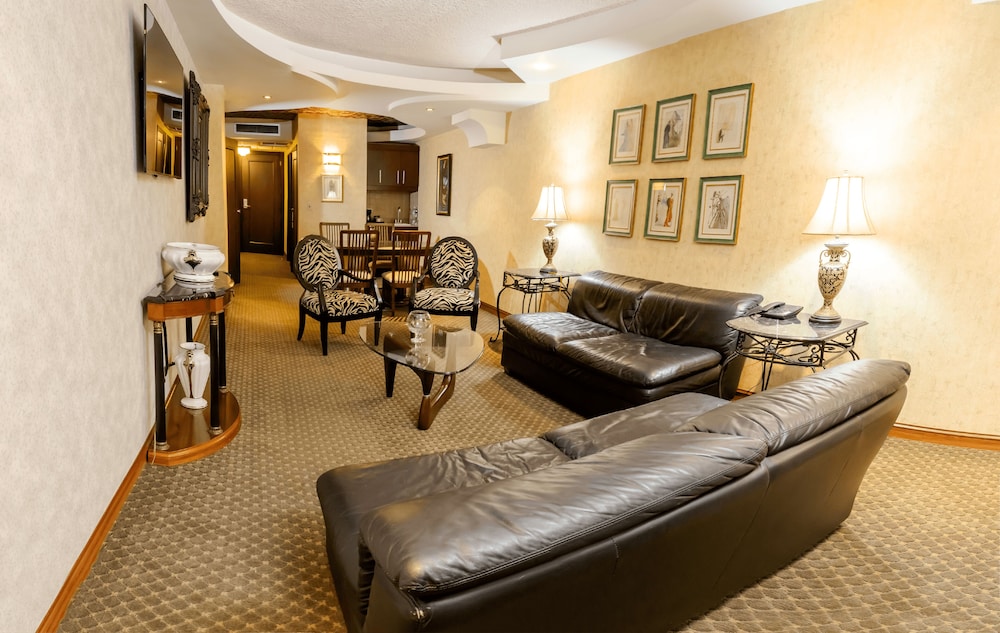Plaza San Martin Hotel 48/69