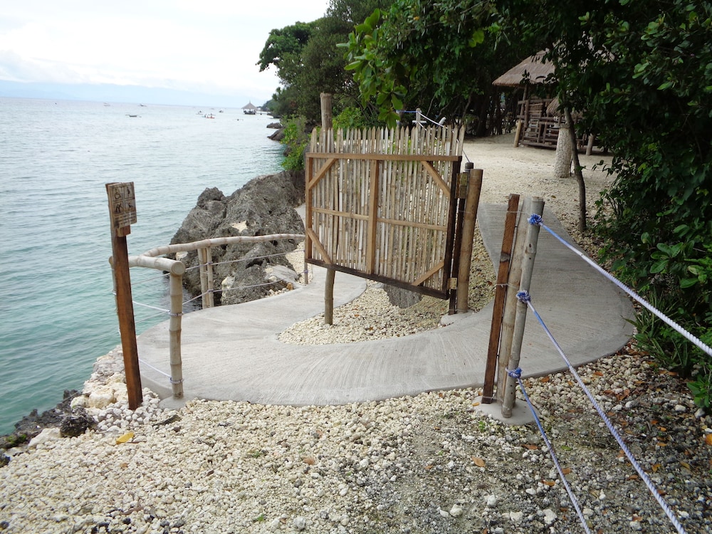 Sea Turtle House 43/50