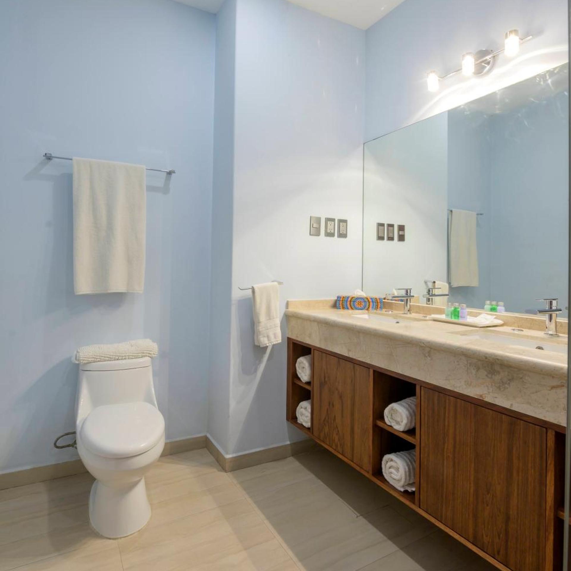 Suite, King Bed, Suites de la Parra 7/9