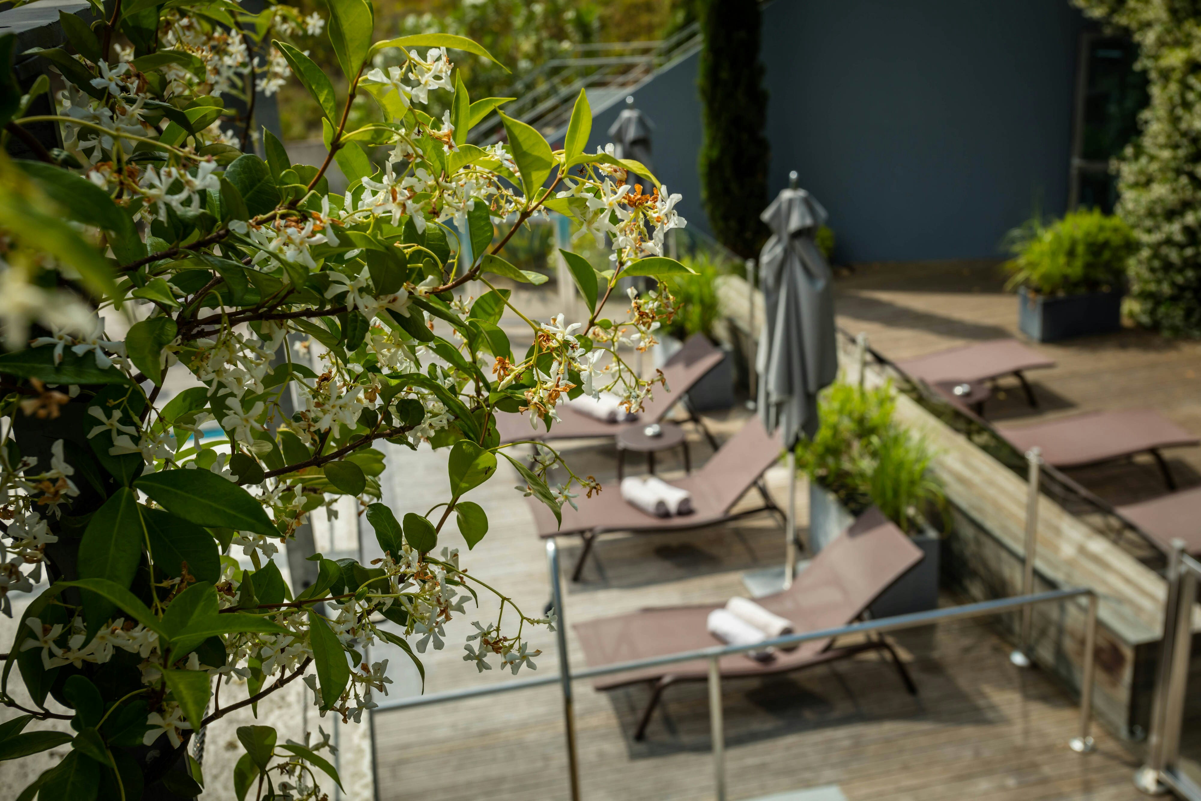 Courtyard Montpellier 41/42