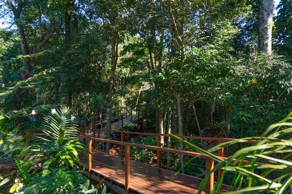 Selva de Laurel 5/71