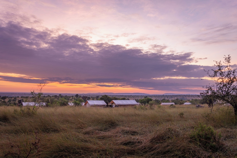 Gnu Mara River Camp 31/50