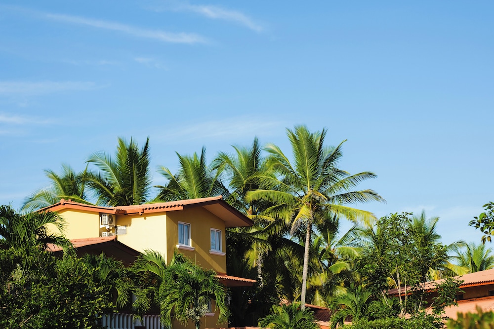 Las Olas Beach Resort 2/50