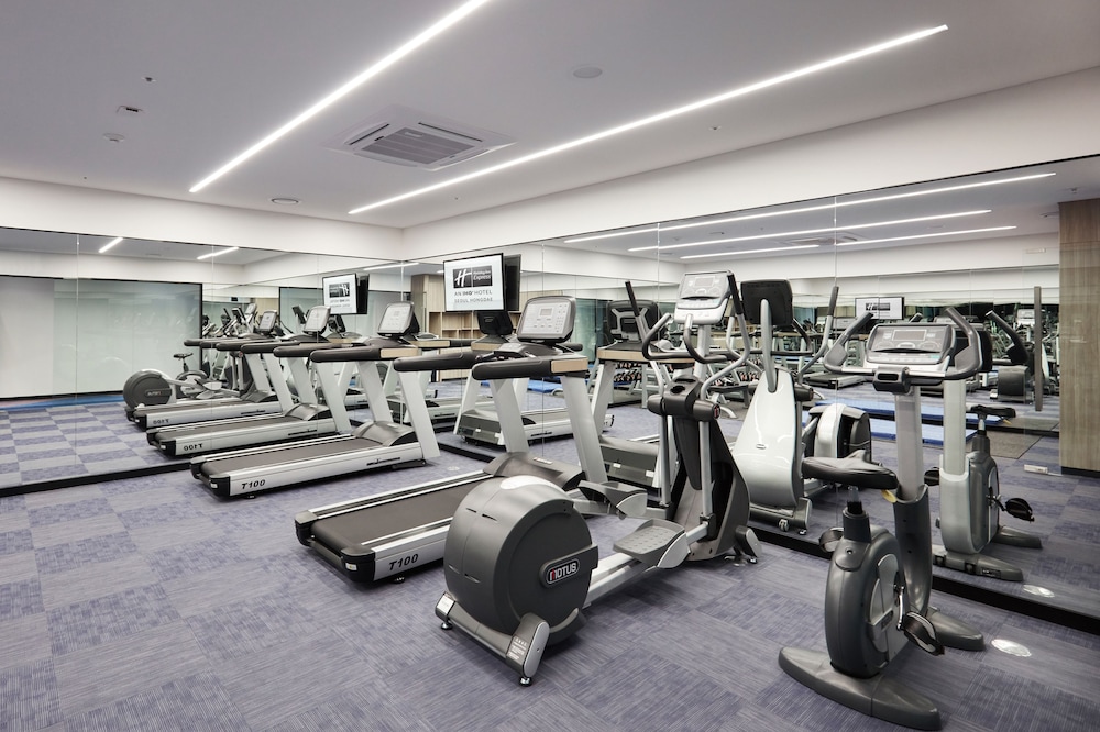 Holiday Inn Express Seoul Hongdae 41/74
