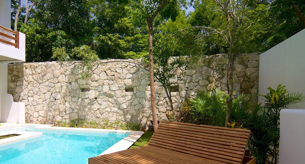 Livetulum 33/58