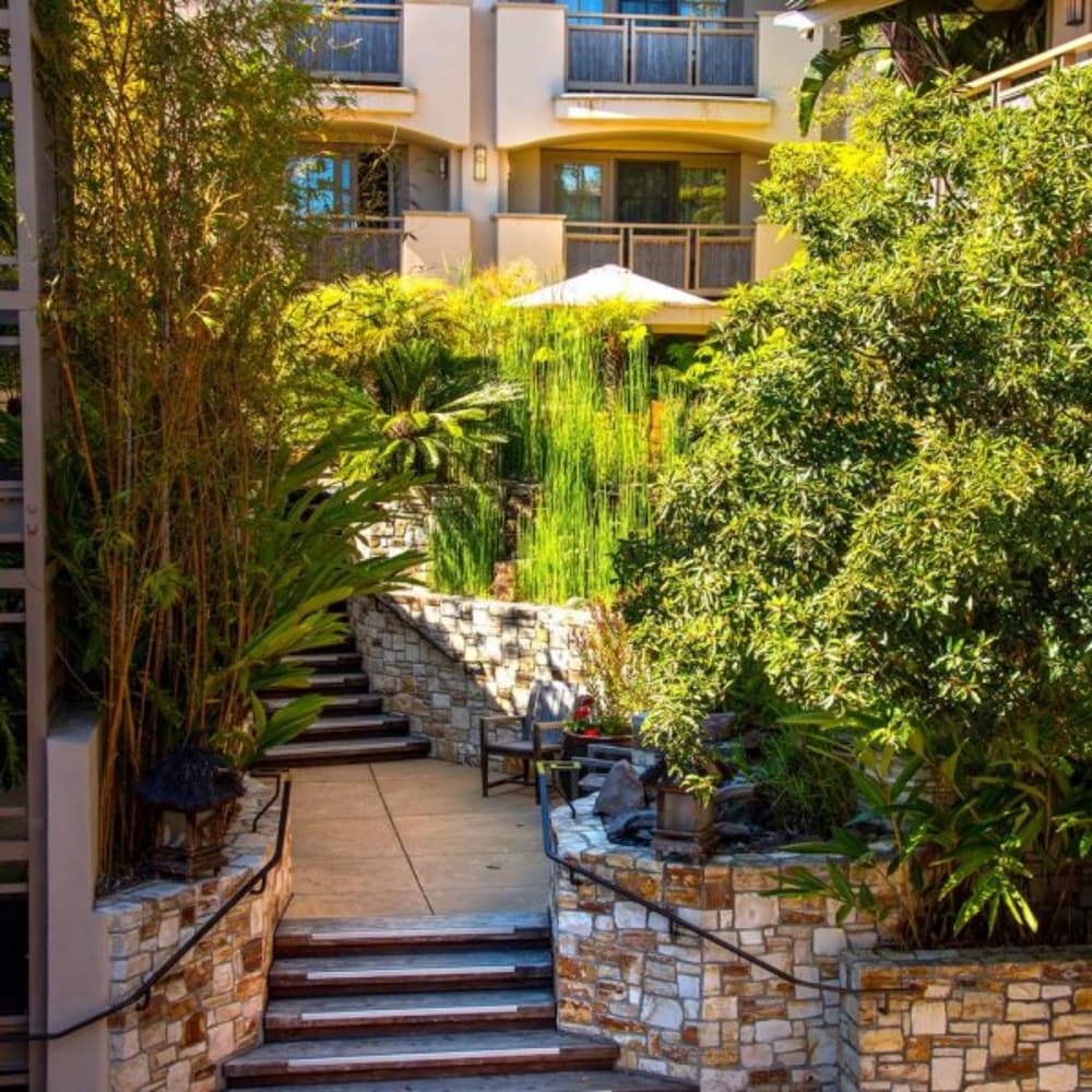 Tradewinds Carmel 45/51