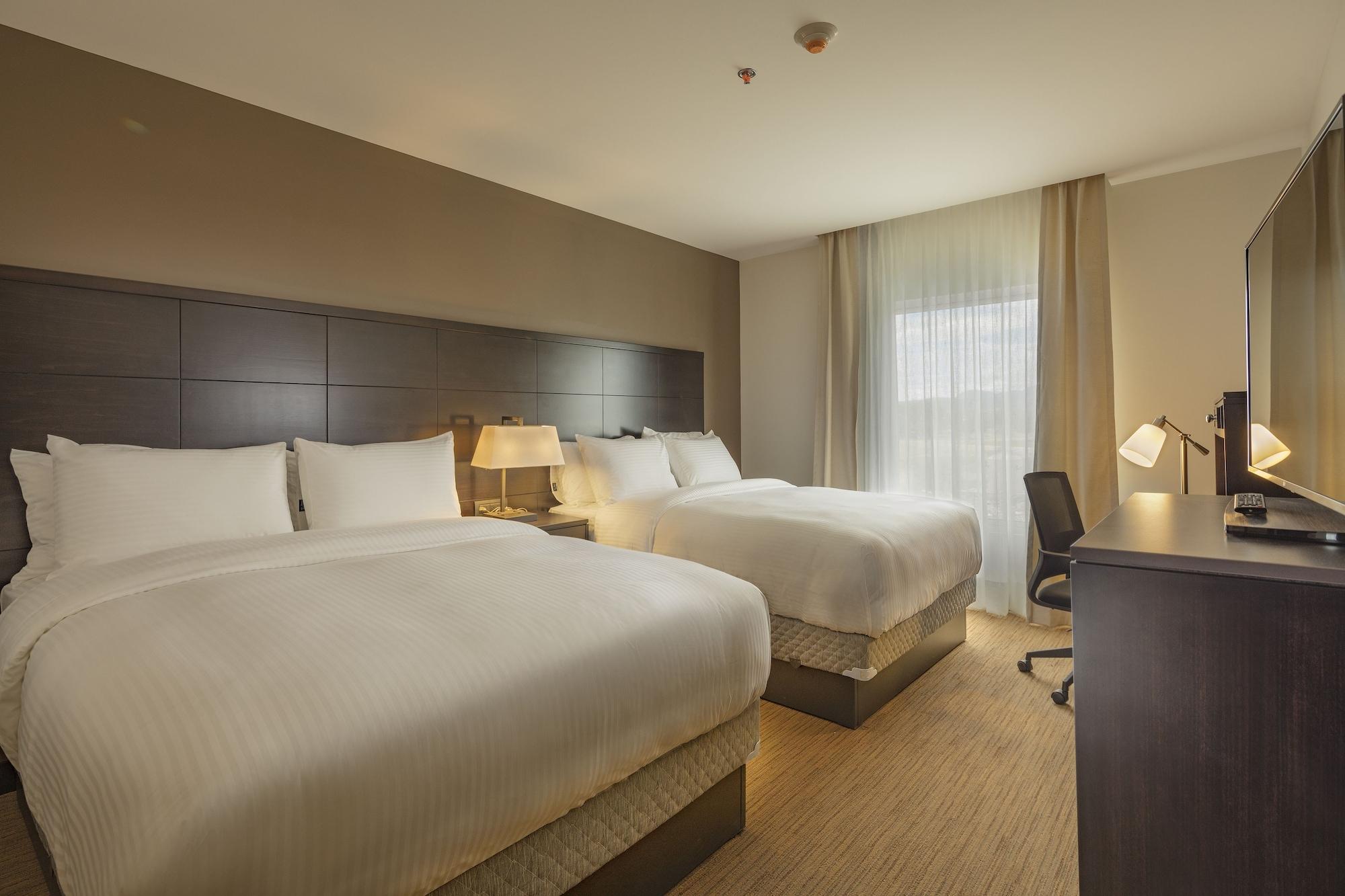 1 Bedroom, Suite, Kitchen