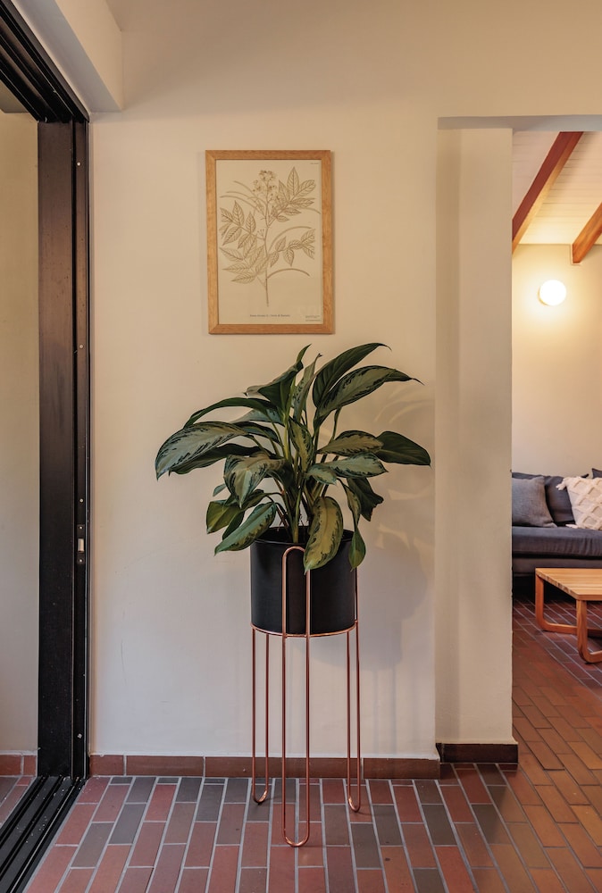 The Somos Flats Laureles 7/49
