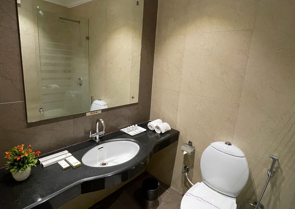 Royale Sarovar Portico Agra 24/65