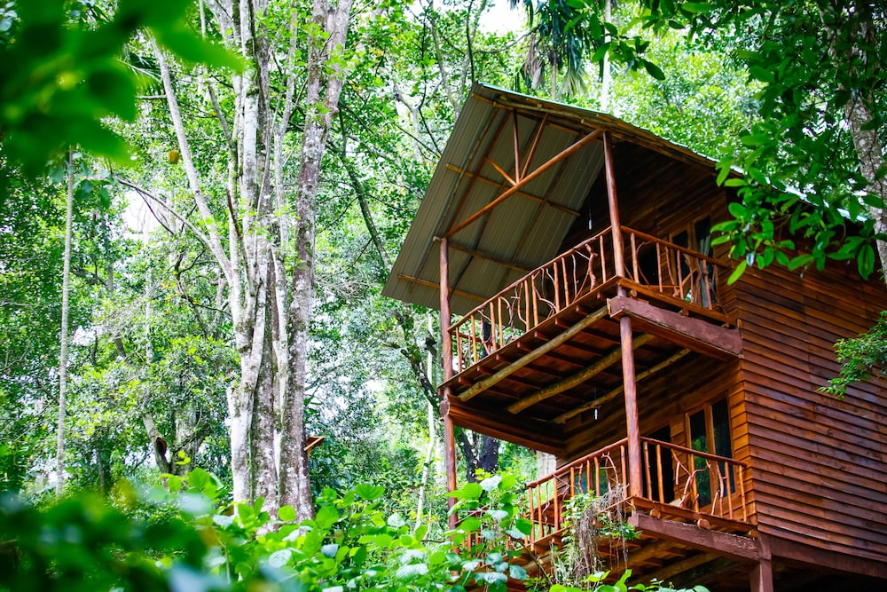 Ella Eco Lodge 3/38