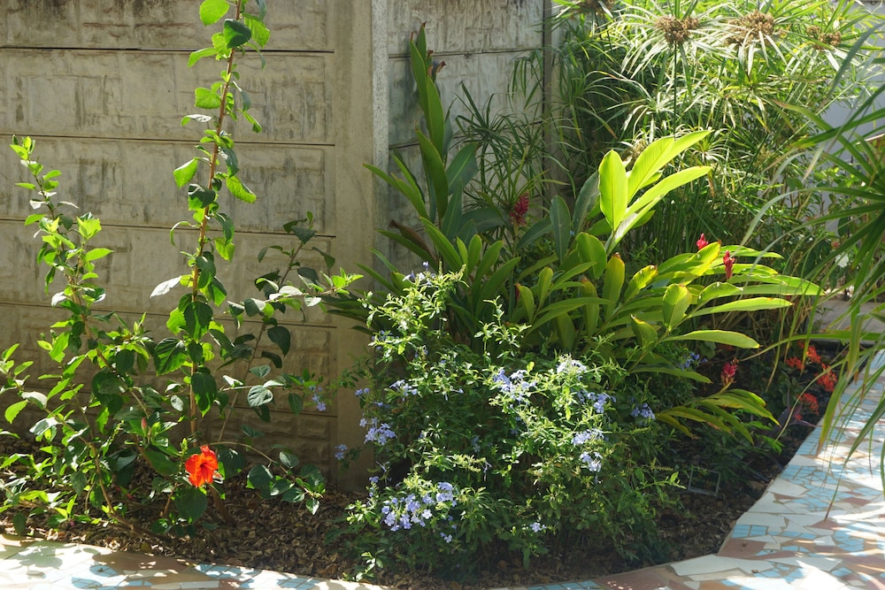Bed And Breakfast Villa Calliandra 41/50