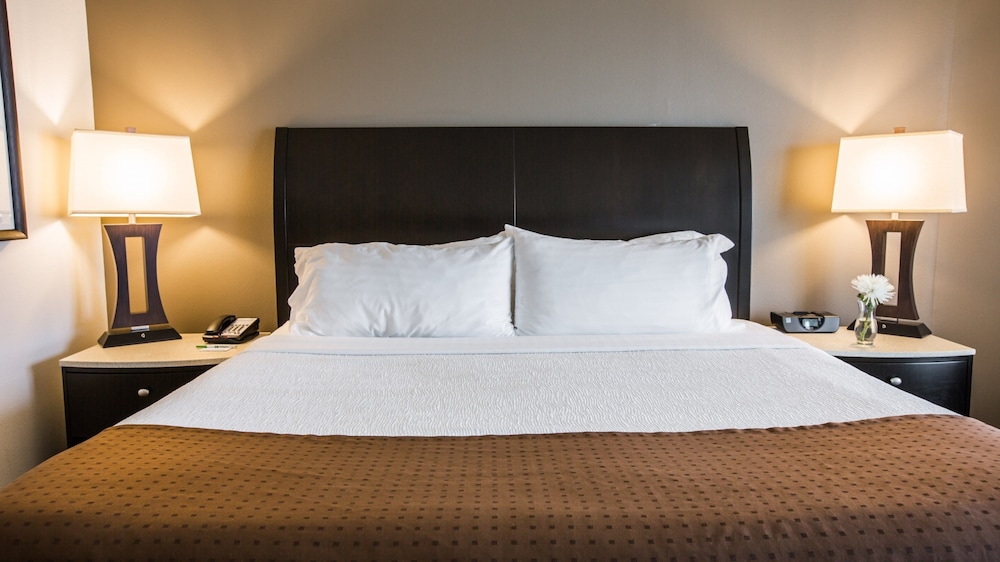 ホリデイ・イン チャールストン ヒストリック ダウンタウン(The Limited Hotel Charleston) 写真2