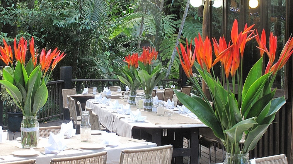 Ferntree Rainforest Lodge 28/46
