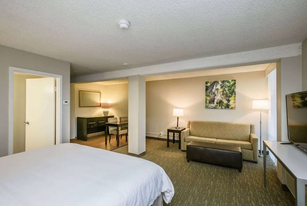 Junior Suite, Studio, King Bed