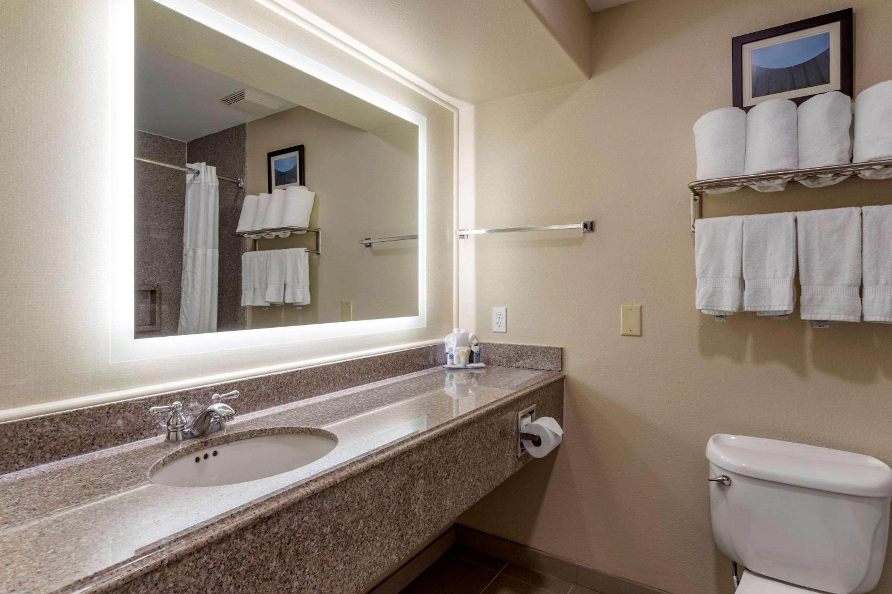 1 Bedroom, Suite, Sofa, Accessible, Comfort Suites Houston near Medical Center- NRG Stadium 4/7