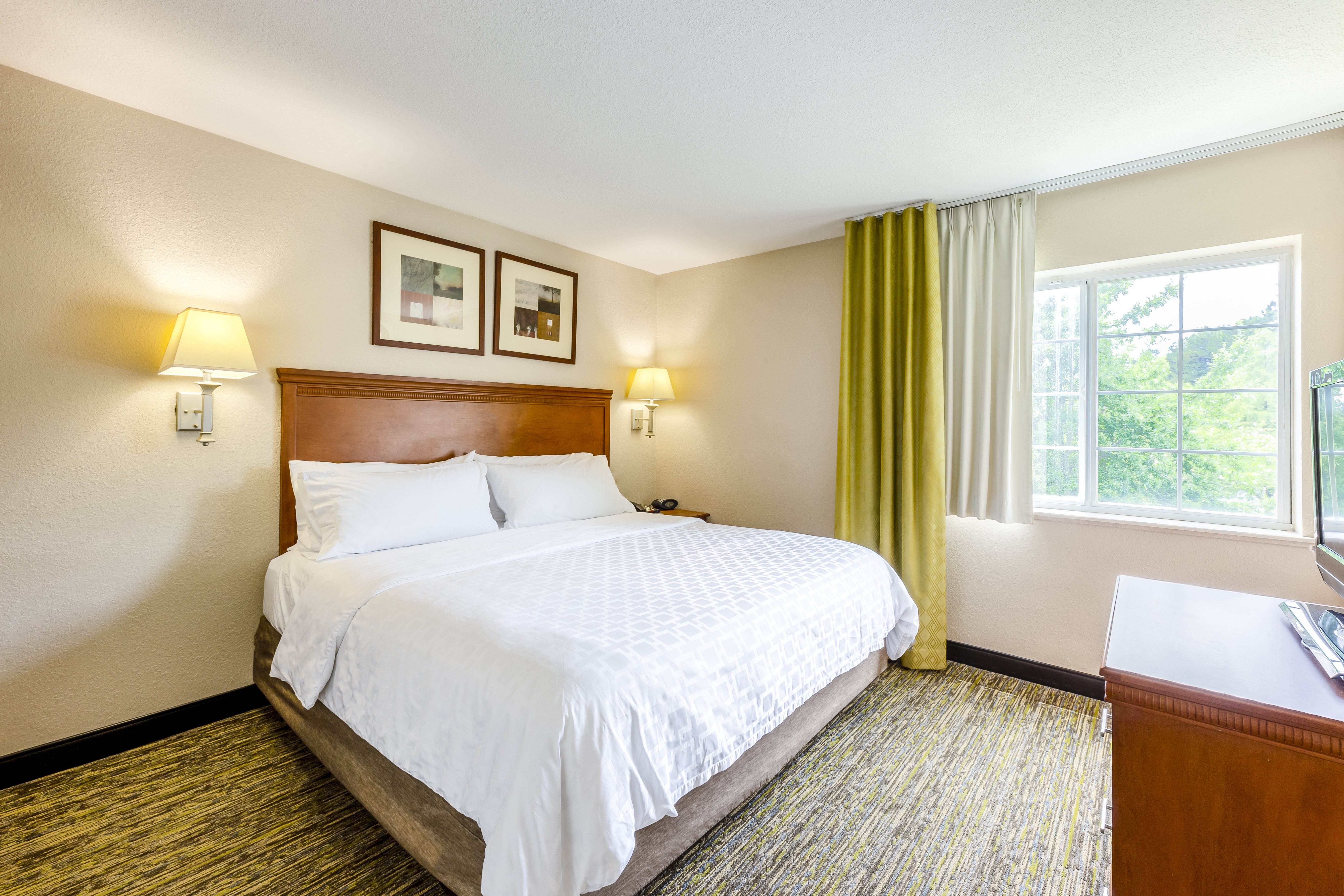 Candlewood Suites Savannah Airport 12/58