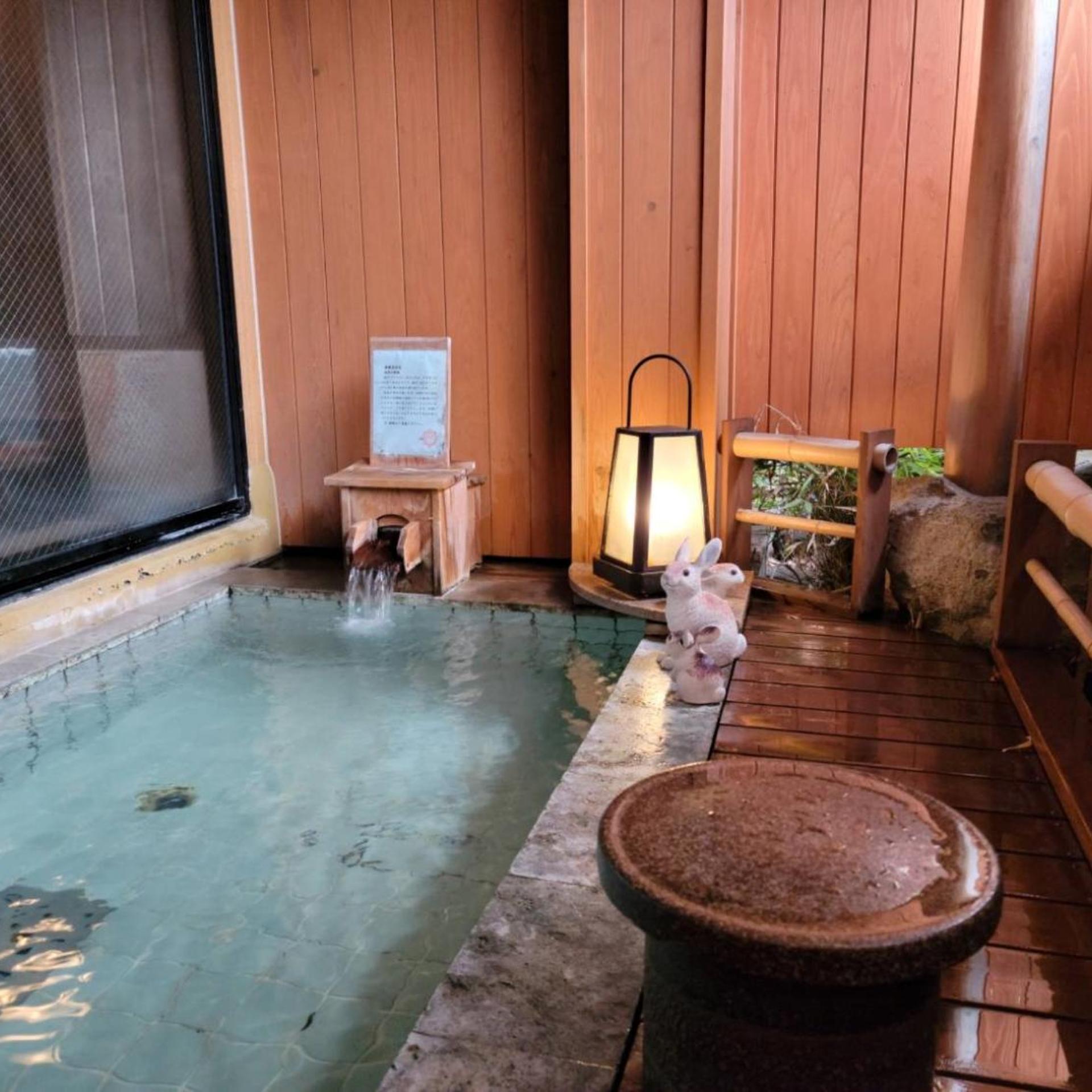 Okutsumagoi Onsen Hanaichi Hoshikawa Ryokan 40/59