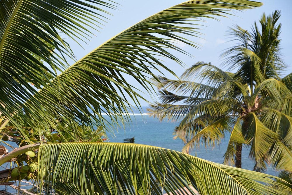 Neptune Beach Resort All Inclusive 26/32